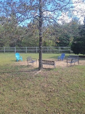 Phil White Dog Park