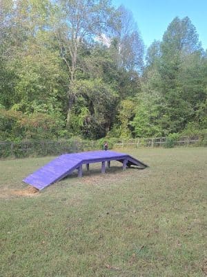 Phil White Dog Park
