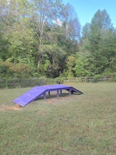 Phil White Dog Park