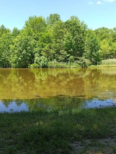 Washington Lake Park - Sewell, NJ