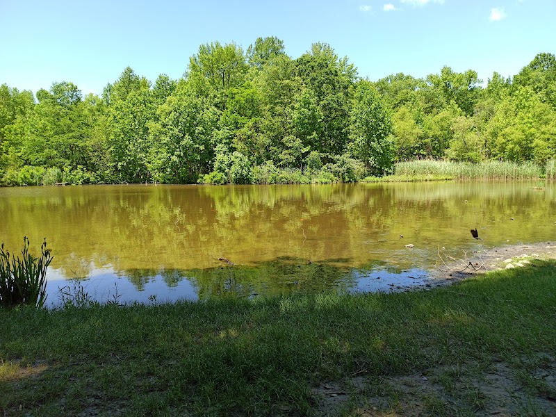 Washington Lake Park - Sewell, NJ