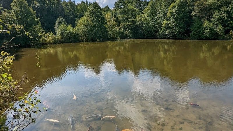 Washington Lake Park - Sewell, NJ