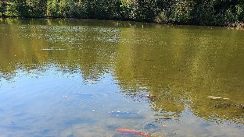Washington Lake Park - Sewell, NJ
