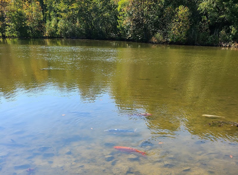 Washington Lake Park - Sewell, NJ