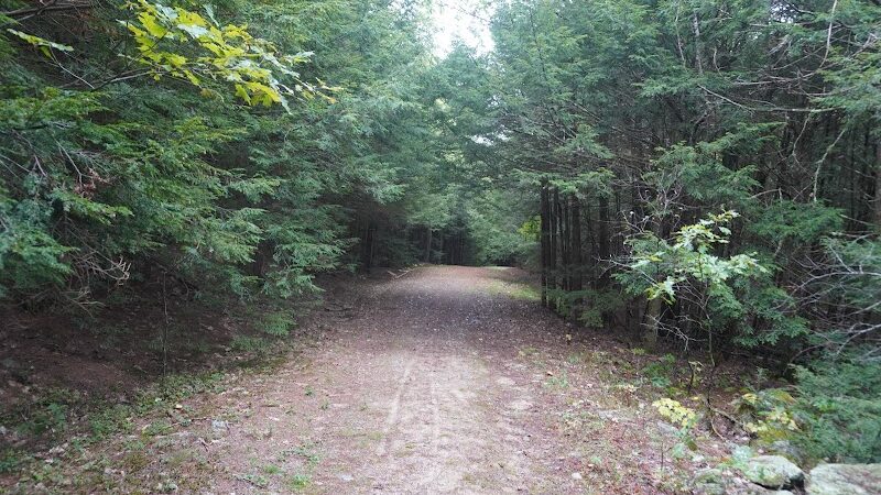 Williams Town Park - Shapleigh, ME