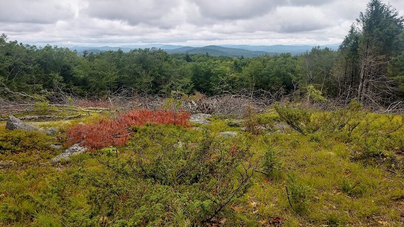 Williams Town Park - Shapleigh, ME