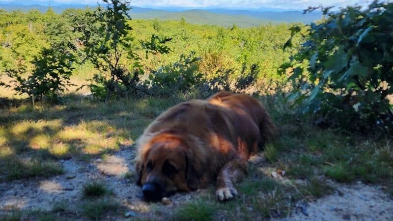 Williams Town Park - Shapleigh, ME