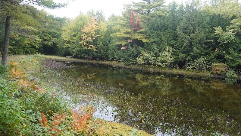 Williams Town Park - Shapleigh, ME