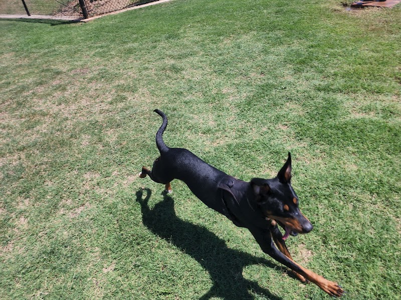 Domino Dog Park - Shawnee, OK