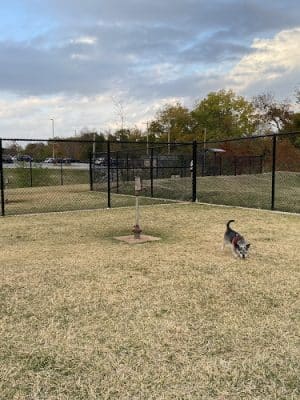 Domino Dog Park - Shawnee, OK