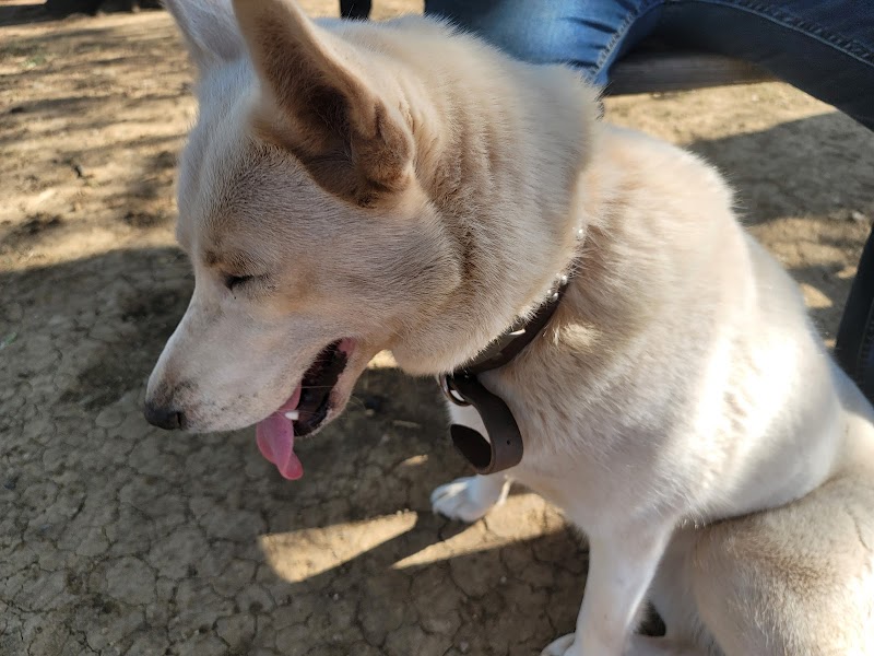 Mary Maxine Williamson Dog Park - Shawnee, OK