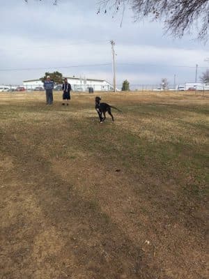 Mary Maxine Williamson Dog Park - Shawnee, OK
