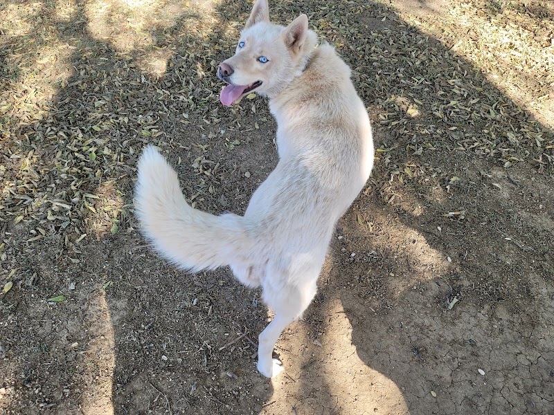 Mary Maxine Williamson Dog Park - Shawnee, OK