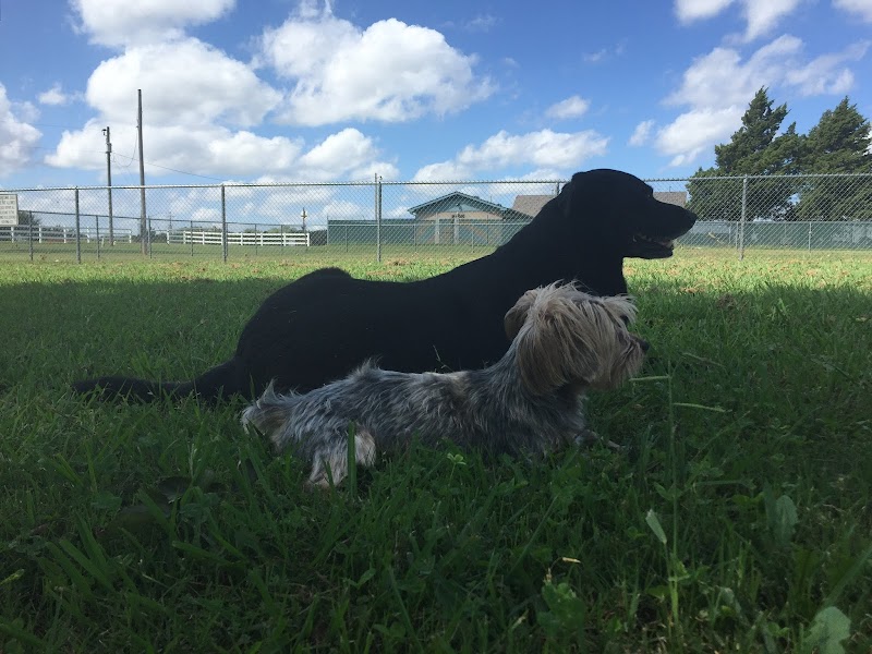 Mary Maxine Williamson Dog Park - Shawnee, OK