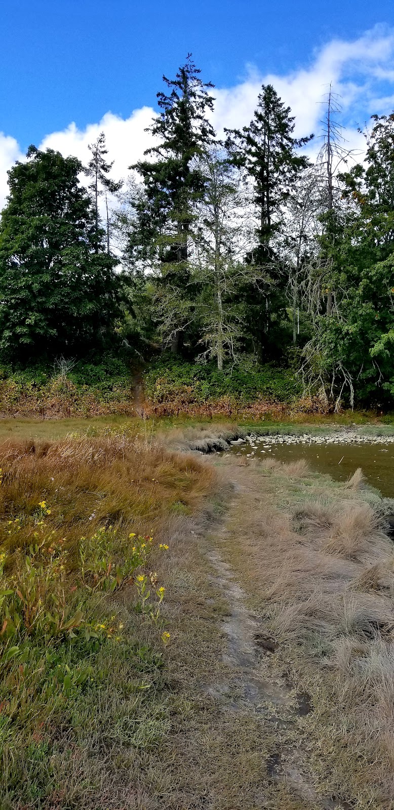 Kennedy Creek Natural Area Preserve - Shelton, WA