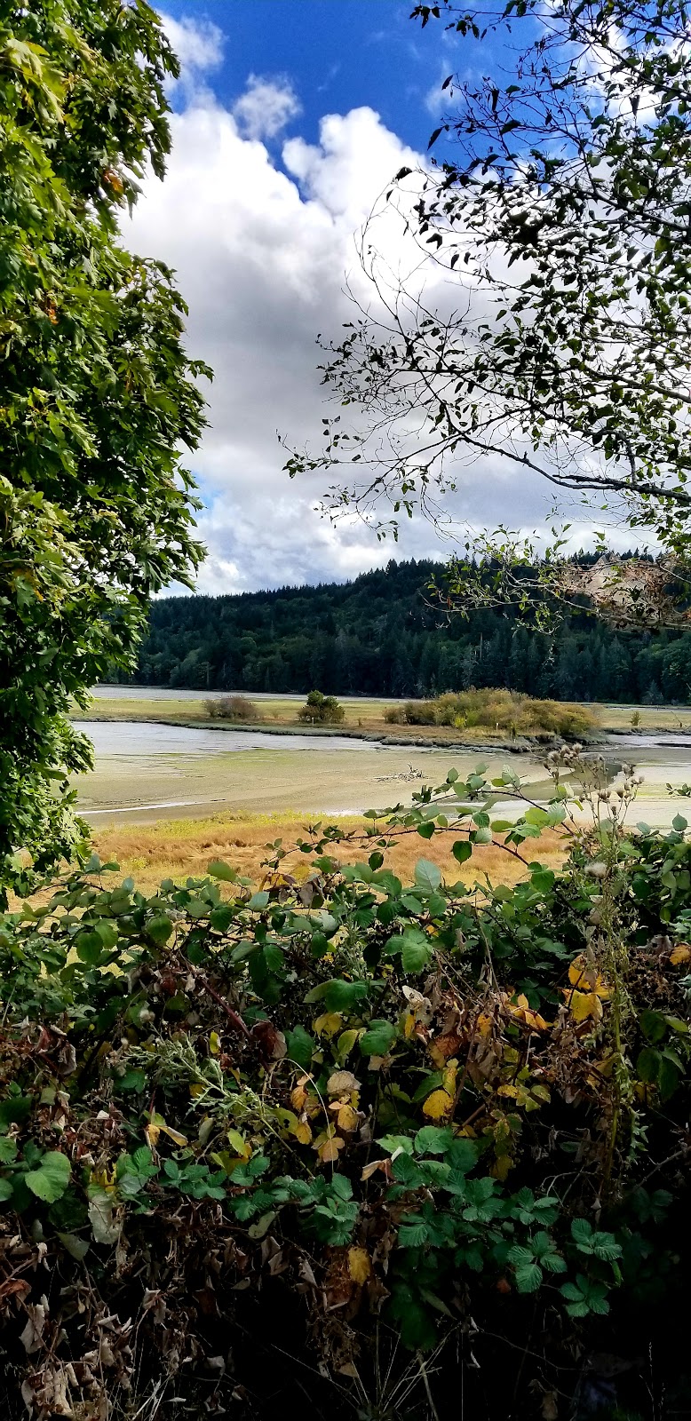Kennedy Creek Natural Area Preserve - Shelton, WA