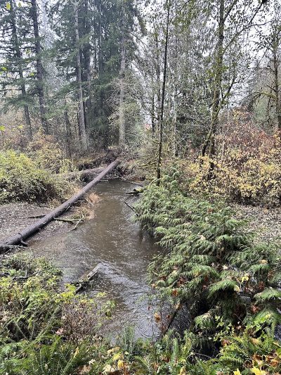 Kennedy Creek Natural Area Preserve - Shelton, WA