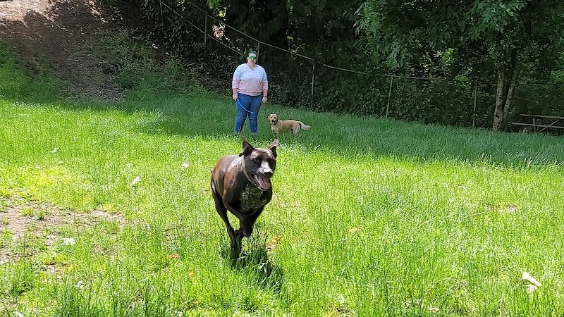 Kneeland Park Off Leash Dog Park - Shelton, WA