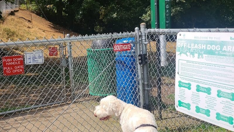 Kneeland Park Off Leash Dog Park - Shelton, WA