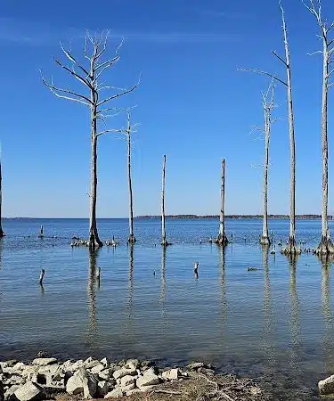 One Mill Park
