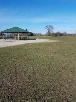 Hammel Woods Dog Park