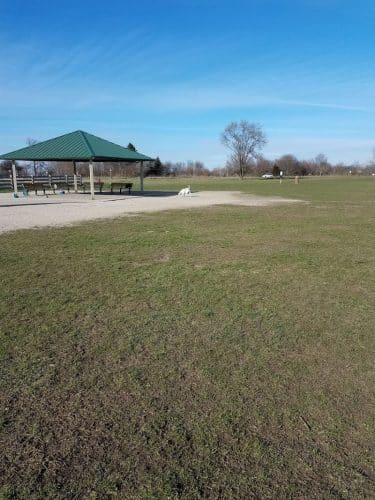Hammel Woods Dog Park