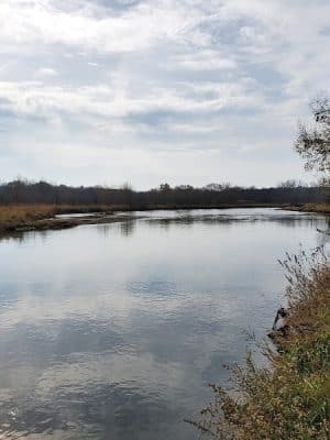 Hammel Woods Dog Park