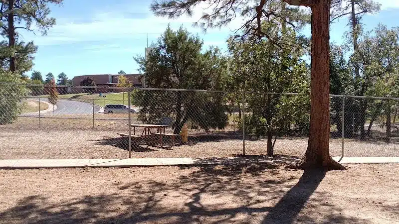 Show Low City Dog Park - Show Low, AZ