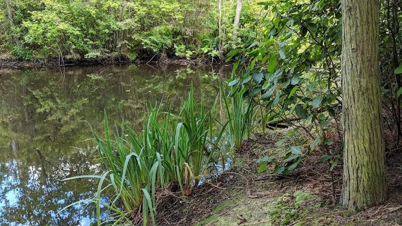 New Brooklyn Park - Sicklerville, NJ