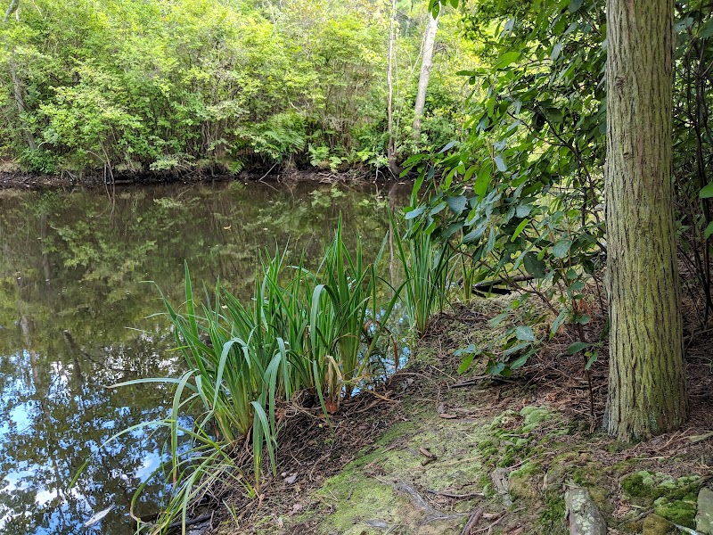 New Brooklyn Park - Sicklerville, NJ
