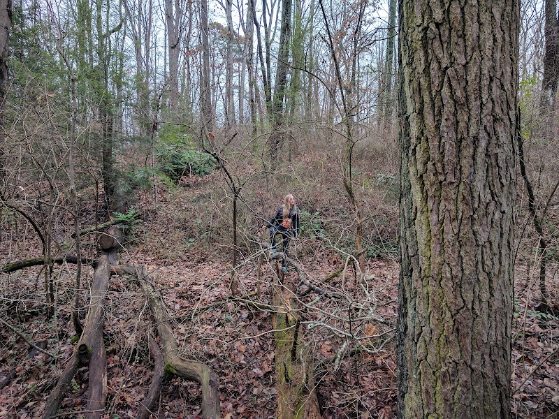 Public Park - Signal Mountain, TN
