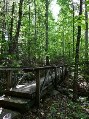 Shackleford Ridge County Park, Signal Mountain Tennessee