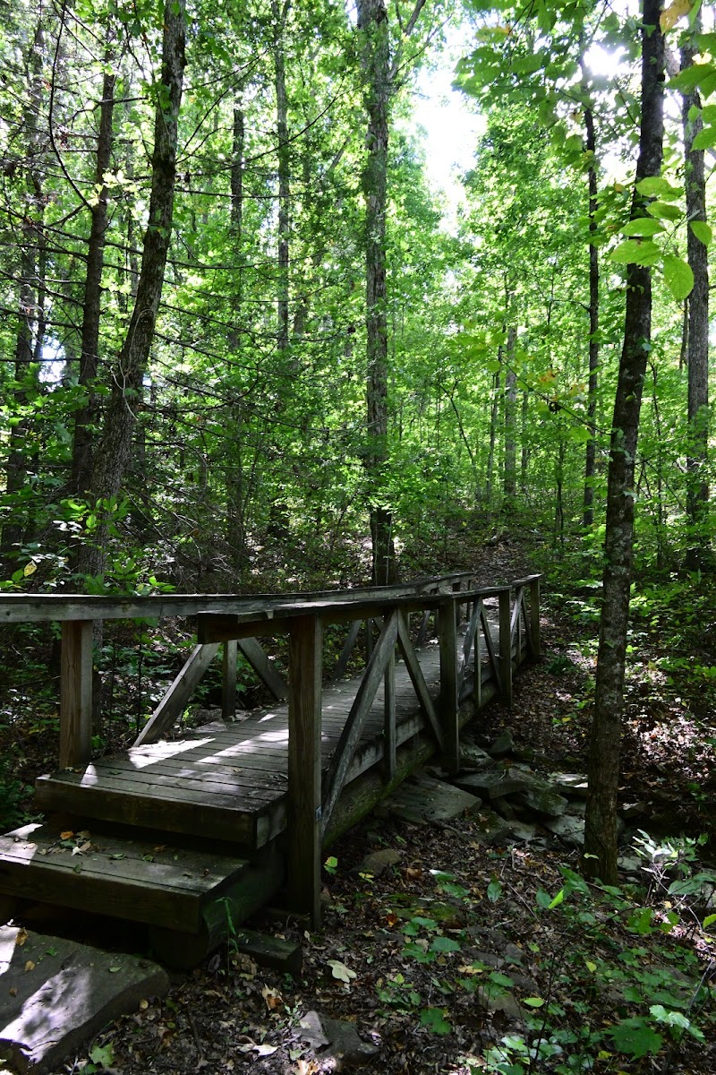 Shackleford Ridge County Park, Signal Mountain Tennessee - Signal Mountain, TN