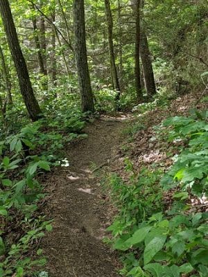 Shackleford Ridge County Park, Signal Mountain Tennessee