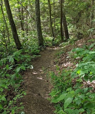 Shackleford Ridge County Park, Signal Mountain Tennessee