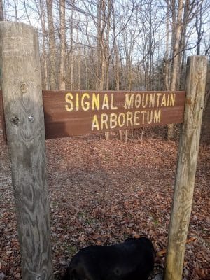 Shackleford Ridge County Park, Signal Mountain Tennessee