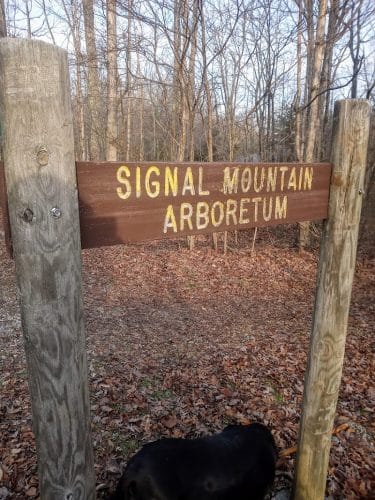 Shackleford Ridge County Park, Signal Mountain Tennessee