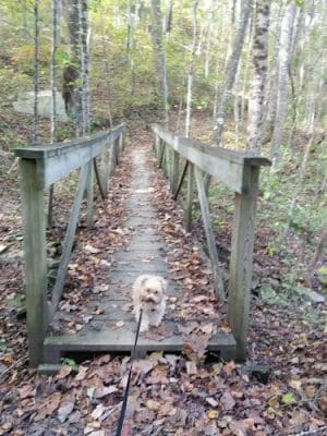 Shackleford Ridge County Park, Signal Mountain Tennessee