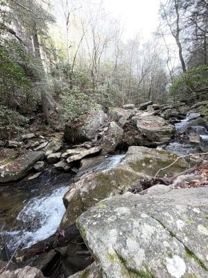 Shackleford Ridge County Park, Signal Mountain Tennessee