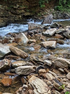 Shackleford Ridge County Park, Signal Mountain Tennessee