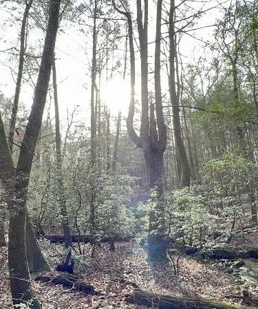 Shackleford Ridge County Park, Signal Mountain Tennessee