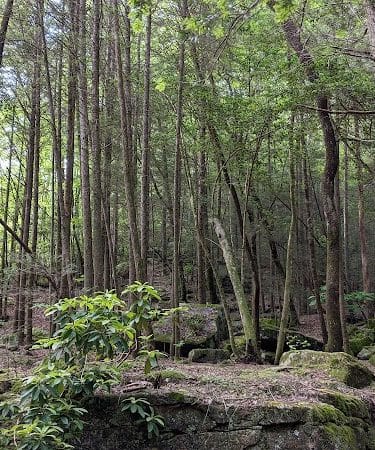 Shackleford Ridge County Park, Signal Mountain Tennessee