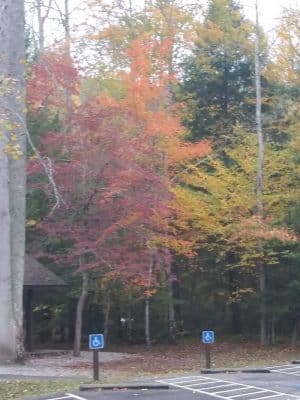 Shackleford Ridge County Park, Signal Mountain Tennessee