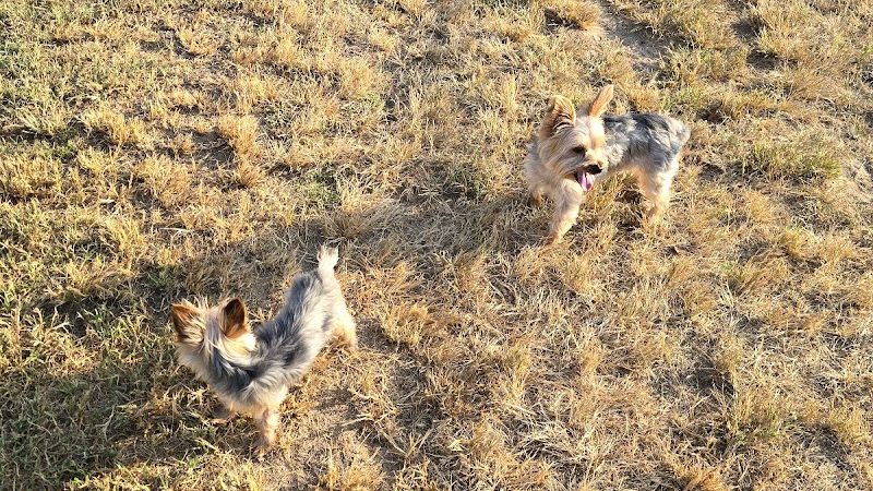 Sikeston Dog Park - Sikeston, MO