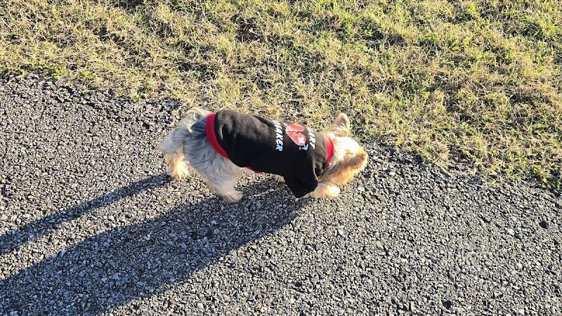 Sikeston Dog Park - Sikeston, MO