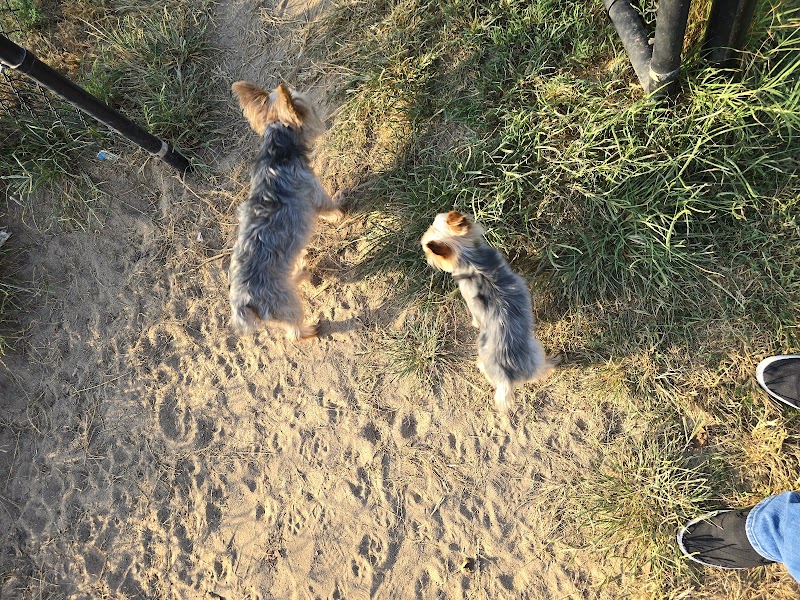Sikeston Dog Park - Sikeston, MO