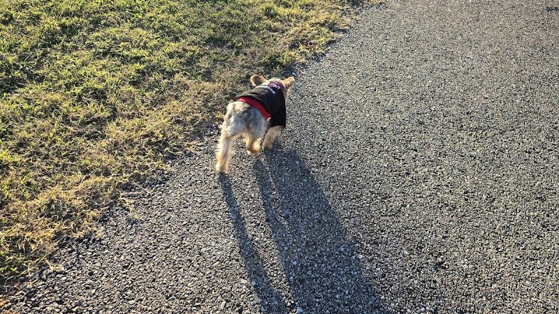 Sikeston Dog Park - Sikeston, MO