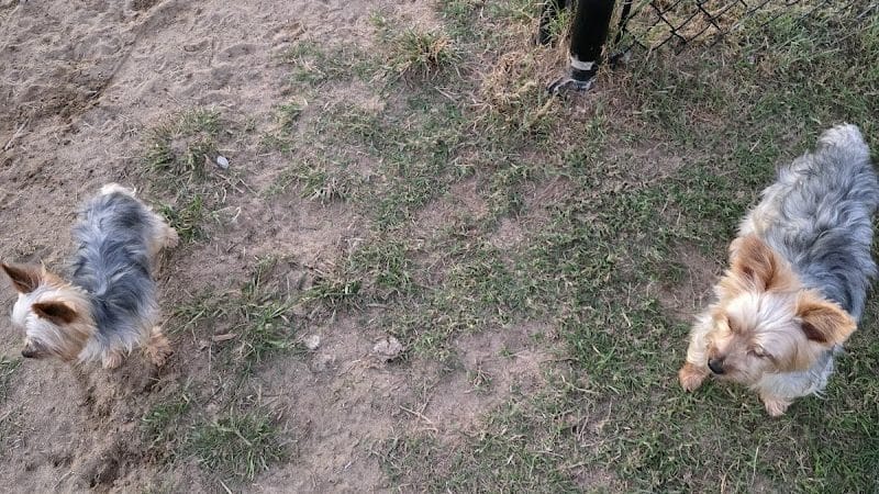 Sikeston Dog Park - Sikeston, MO