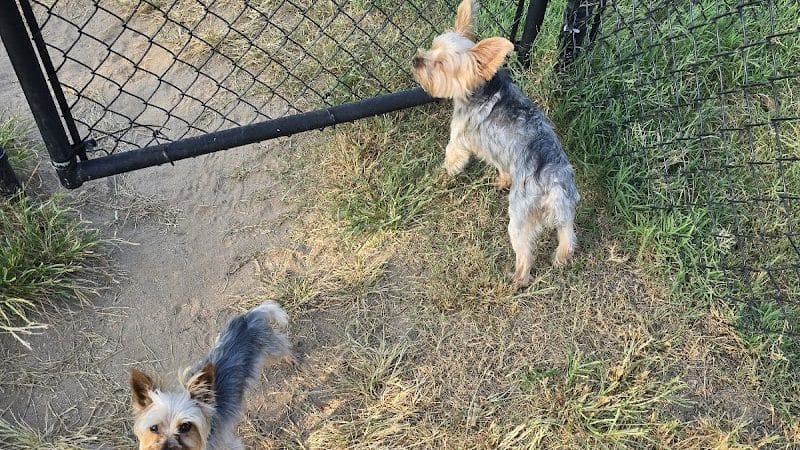 Sikeston Dog Park - Sikeston, MO