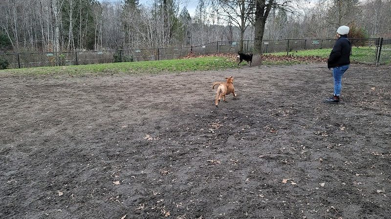 Silverdale Dog Park - Silverdale, WA